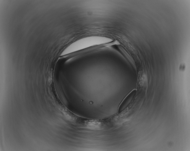 X0000090890471200708171709