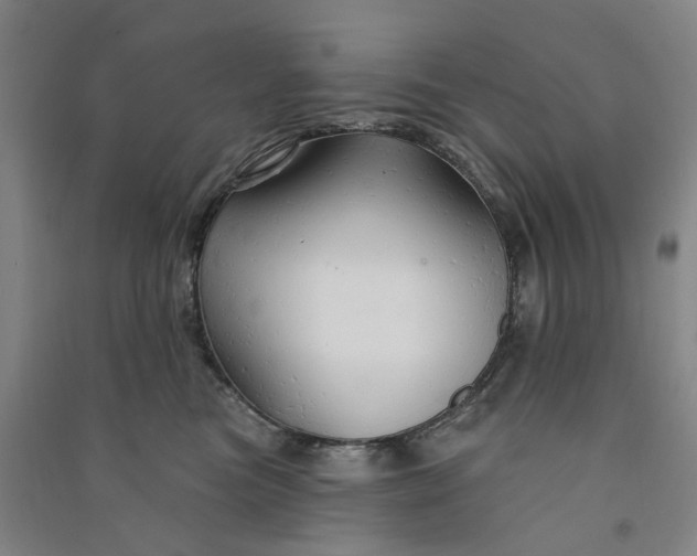 X0000090890473200708171709