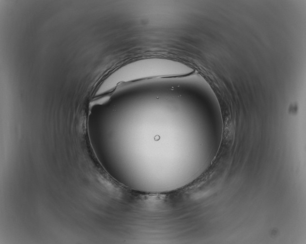 X0000090890474200708171709