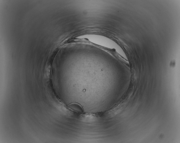 X0000090890475200708171709