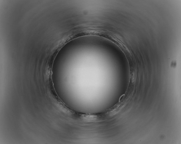 X0000090890476200708171709