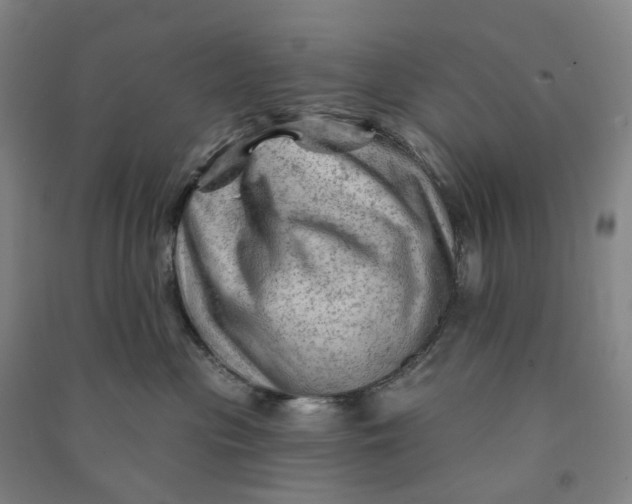 X0000090890477200708171709