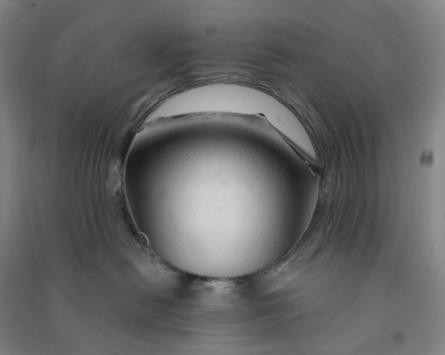 X0000090890478200708171709