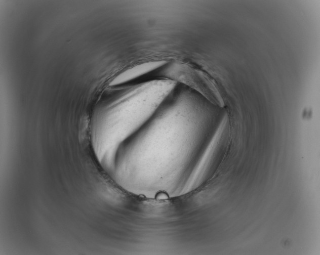 X0000090890480200708171709