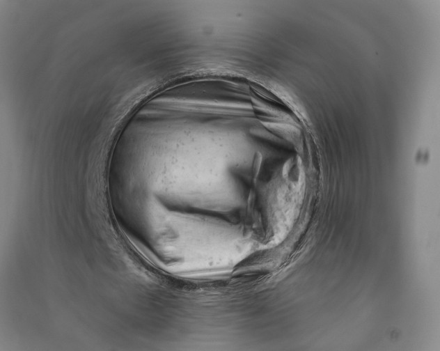 X0000090890481200708171709