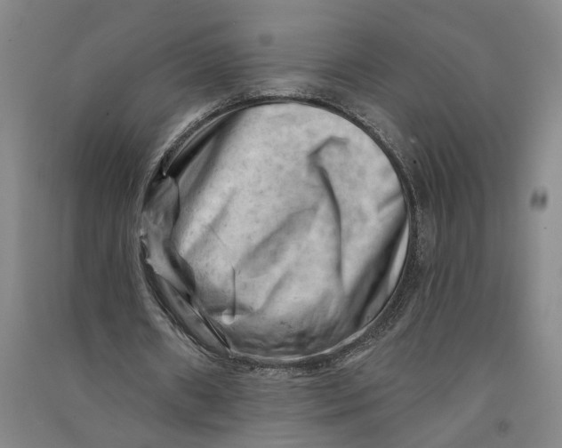 X0000090890482200708171709