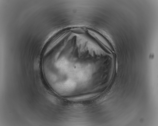 X0000090890483200708171709