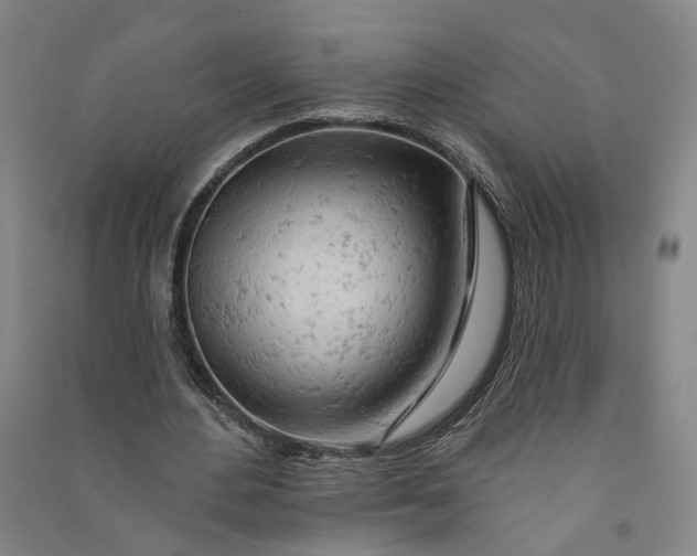 X0000090890484200708171709