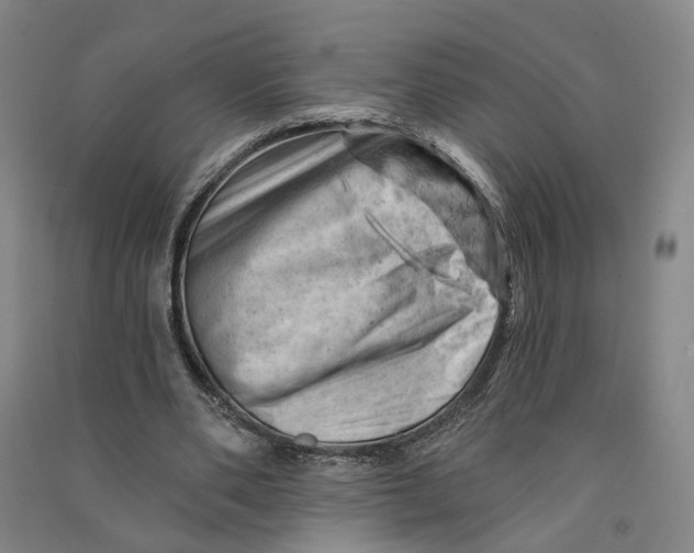 X0000090890486200708171709