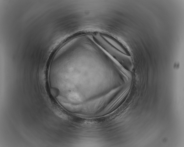 X0000090890487200708171709