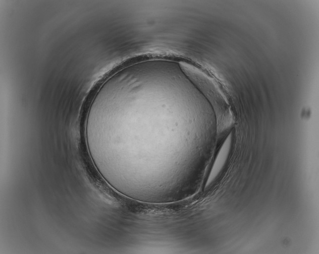 X0000090890488200708171709