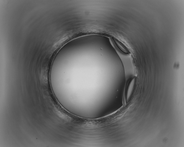 X0000090890489200708171709