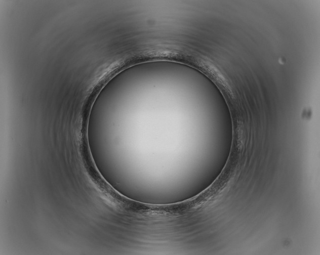 X0000090890490200708171709