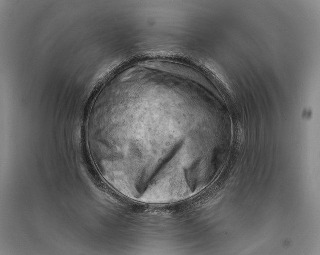 X0000090890491200708171709