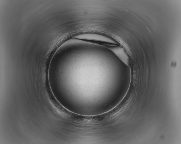 X0000090890493200708171709