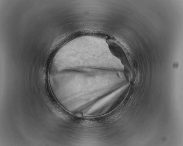 X0000090890494200708171709