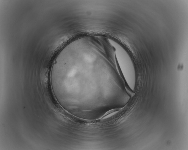 X0000090890495200708171709