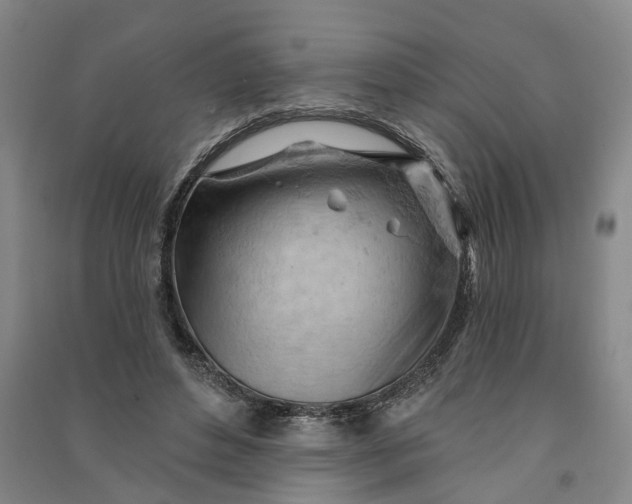 X0000090890496200708171709