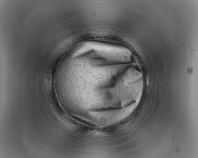 X0000090890498200708171709