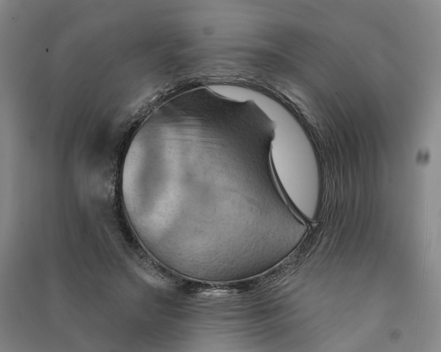 X0000090890499200708171708