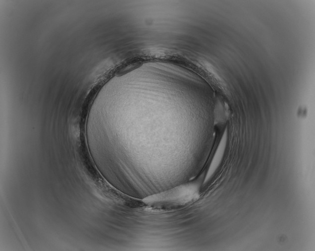 X0000090890500200708171708