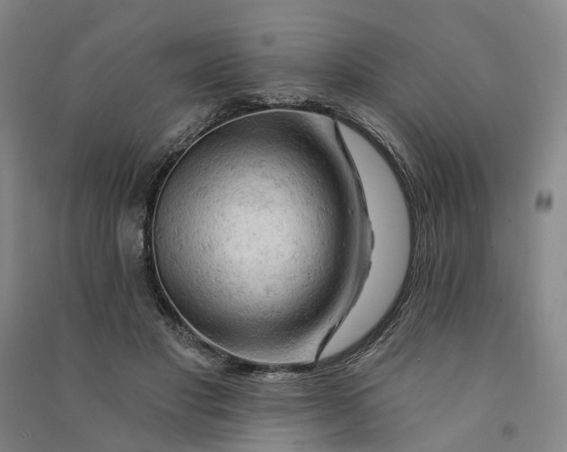 X0000090890501200708171708