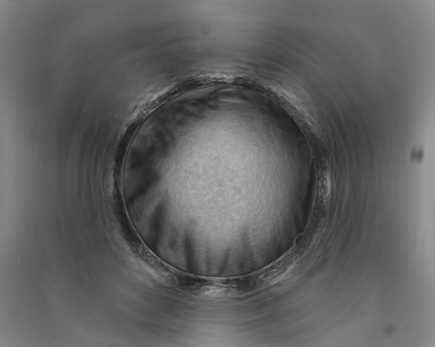 X0000090890504200708171708