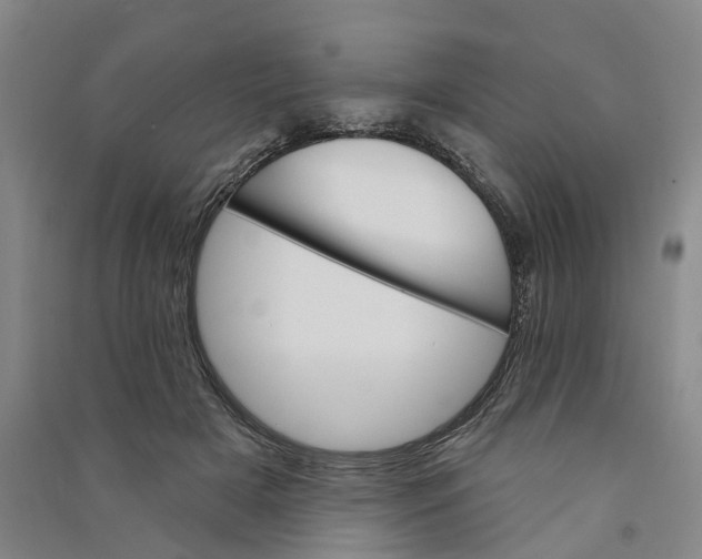 X0000090890505200708171708