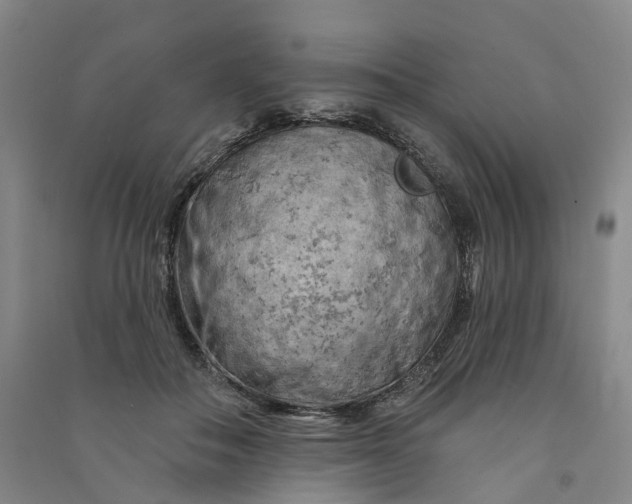 X0000090890506200708171708