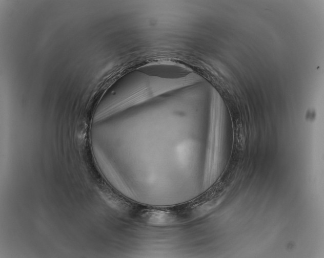 X0000090890507200708171708