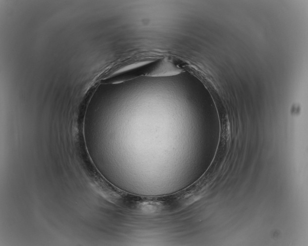 X0000090890508200708171708