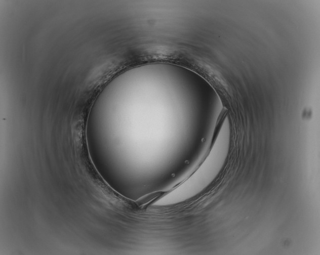 X0000090890509200708171708