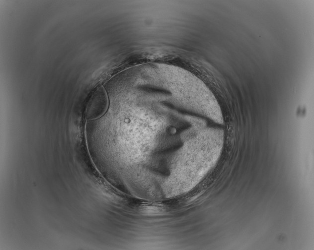 X0000090890510200708171708