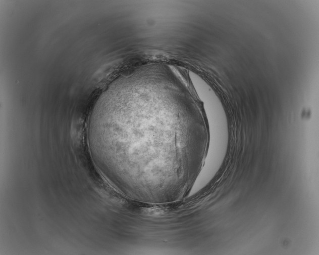 X0000090890511200708171708