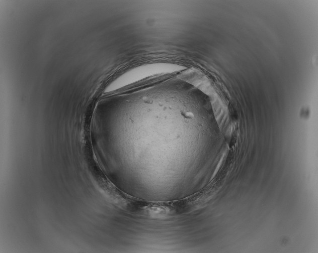 X0000090890512200708171708