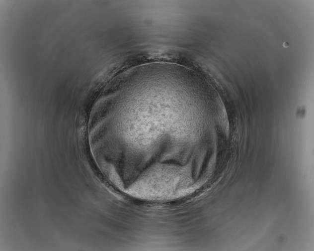 X0000090890513200708171708