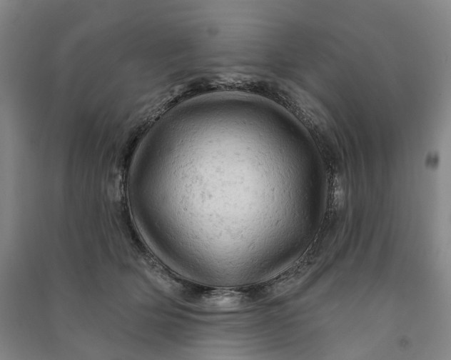 X0000090890514200708171708