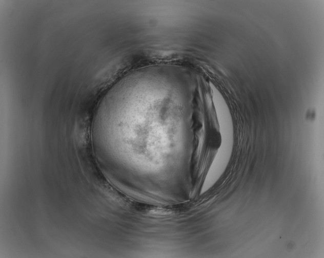 X0000090890515200708171708