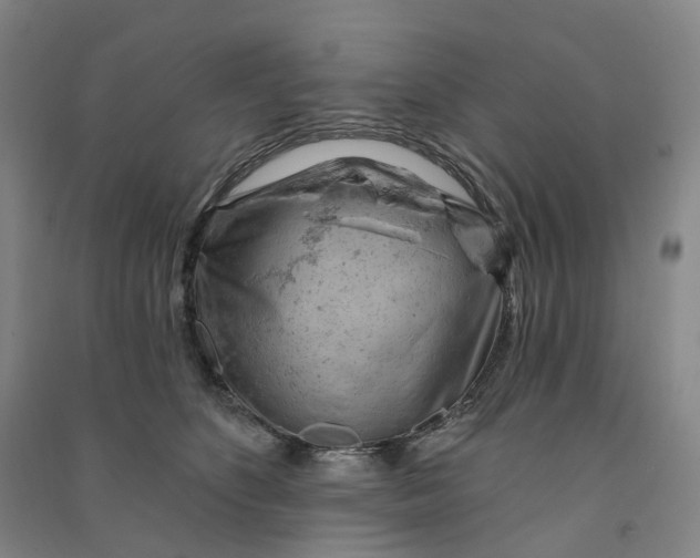 X0000090890516200708171708