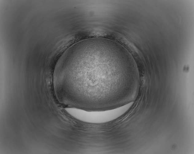 X0000090890517200708171708