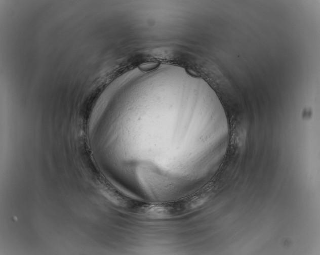 X0000090890518200708171708