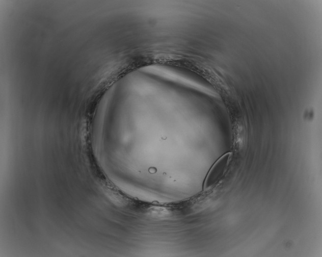 X0000090890519200708171708