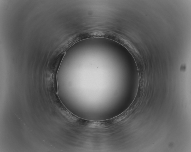 X0000090890521200708171708