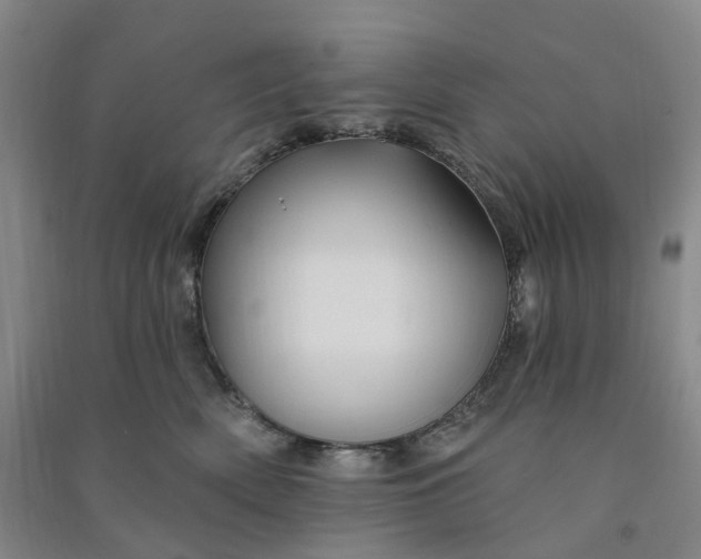 X0000090890522200708171708