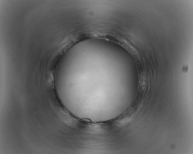 X0000090890523200708171708