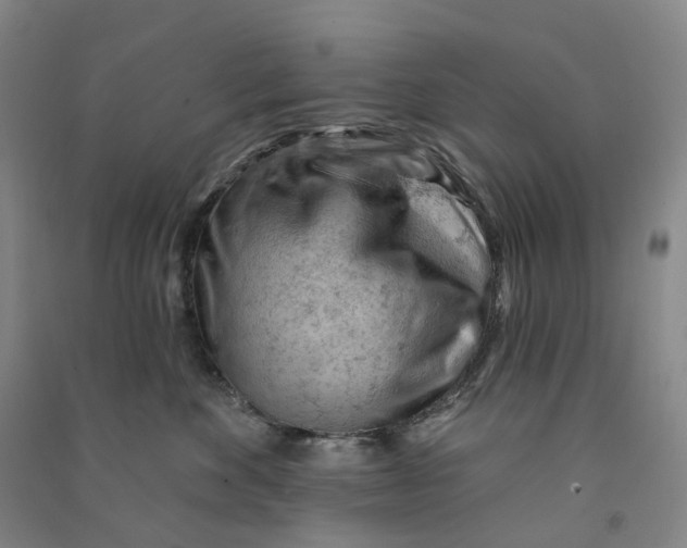 X0000090890524200708171708