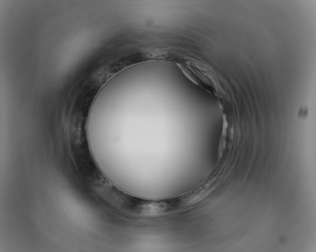 X0000090890525200708171708