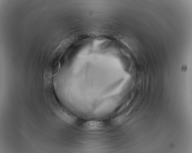 X0000090890526200708171708