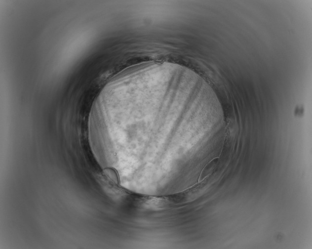 X0000090890527200708171708