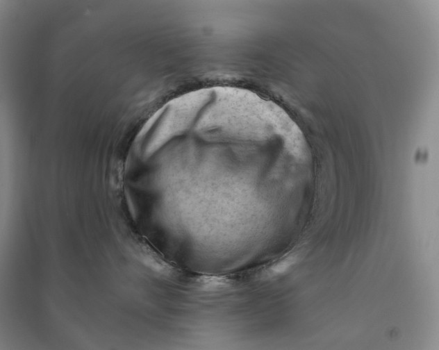 X0000090890528200708171708